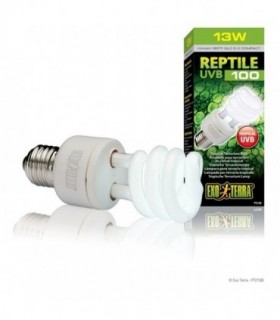 EXO TERRA BEC REPTI GLO UVB100 13 W PT2186
