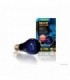 EXO TERRA BEC NIGHT HEAT 150 W PT2059