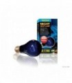 EXO TERRA BEC NIGHT HEAT 150 W PT2059
