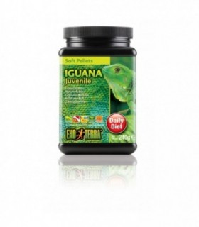 EXO TERRA MENIU IGUANA JUVENILE 240 G PT3232