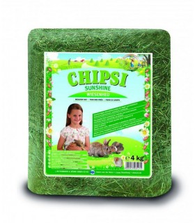 CHIPSI FAN SUNSHINE 4 KG