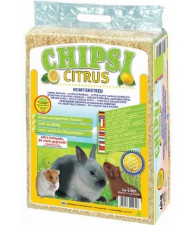 CHIPSI CITRUS MULTI 60 L