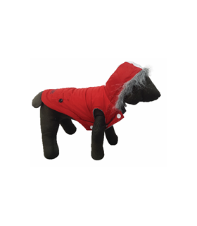 PET EXPERT HAINA CAINE FREDDY RED S 25 CM X16041