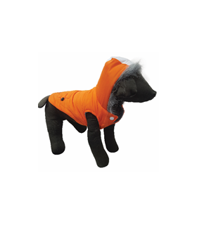 PET EXPERT HAINA CAINE FREDDY ORANGE S 25 CM X16041