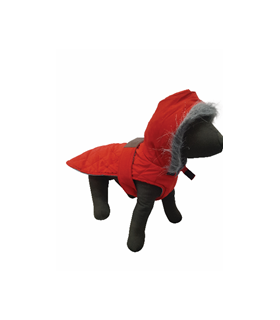 PET EXPERT HAINA CAINE BELTY RED S 25 CM W163066