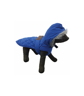 PET EXPERT HAINA CAINE BELTY BLUE S 25 CM W163066