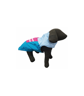 PET EXPERT HAINA CAINE ARROW BLUE XS 20 CM L16810