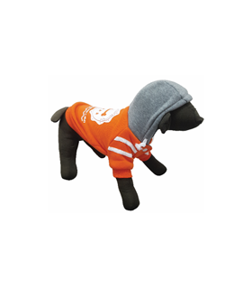 PET EXPERT HAINA CAINE BONES ORANGE S 25 CM X16065