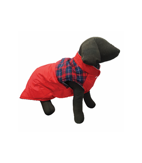 PET EXPERT HAINA CAINE SCOTISH RED S 25 CM X16082