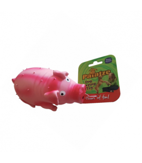 PAIATZE DOG PORCUSOR LATEX 0003/ 2251