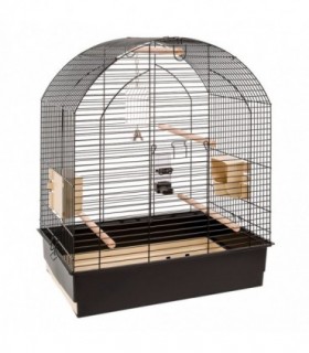 FERPLAST COLIVIE GRETA NEAGRA