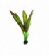 RESUN PLANTA MATASE AMAZON BROWN 20 CM BPS1010A