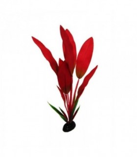 RESUN PLANTA MATASE AMAZON RED 30 CM BPS1012A