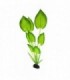 RESUN PLANTA MATASE ECHINODORUS HORIZONTALIS 20 CM BPS1009C