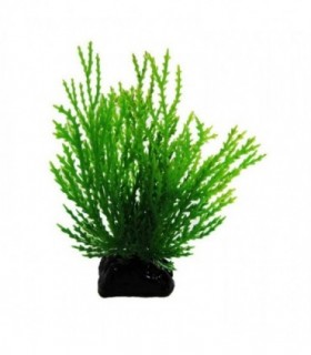RESUN PLANTA PLASTIC WILLOW MOSS GREEN 8 CM AP056B