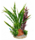 SYDECO PLANTA JUNGLE MEDIUM 22 CM 349634
