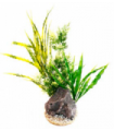 SYDECO PLANTA HEDGE 32 CM 349708