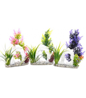 SYDECO PLANTA AQUAPLANT SMALL IN POT MIX 349716