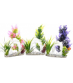 SYDECO PLANTA AQUAPLANT SMALL IN POT MIX 349716
