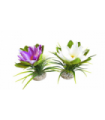 SYDECO GREEN MOSS 18 CM 349720