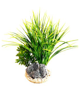 SYDECO PLANTA BAMBOO GIANT 28 CM 349806