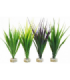 SYDECO PLANTA HEDGE MAXI 16 CM 380060