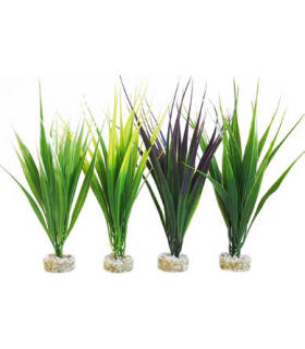 SYDECO PLANTA HEDGE MAXI 16 CM 380060