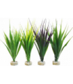SYDECO PLANTA HEDGE MAXI 16 CM 380060