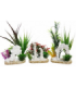 SYDECO PLANTA AQUA DECOR RUINS 25 CM 380226