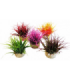 SYDECO PLANTA AQUA NANO MOSS 8 CM 380278