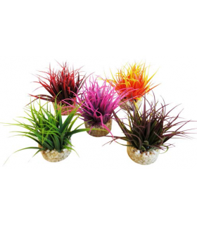 SYDECO PLANTA AQUA NANO MOSS 8 CM 380278