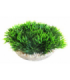 SYDECO PLANTA MEDAL-SHAPED GREEN MOSS 6 CM 380340