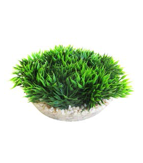 SYDECO PLANTA MEDAL-SHAPED GREEN MOSS 6 CM 380340