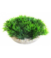 SYDECO PLANTA MEDAL-SHAPED GREEN MOSS 6 CM 380340