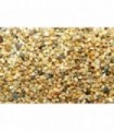 PIETRIS ACVARIU RIVER MIX 2/3 MM 2.5 KG FSCM