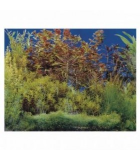 RESUN FUNDAL ACVARIU ROCA/PLANTE O FATA 48 CM X 15 M S1