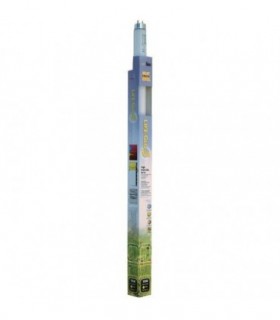 HAGEN NEON LIFE GLO 20 W 59 CM T8 A1634