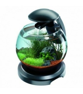 TETRA BOL CASCADE DUO WATERFALL 6.8 L NEGRU