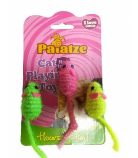 PAIATZE CAT SOARECE X 3 N0206/ 1766