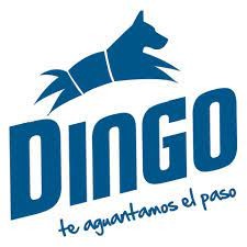 DINGO